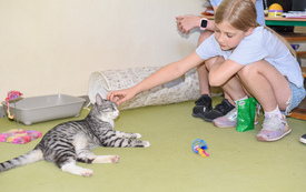 Galeria aktualności Żyję nie tylko dla siebie - wyjątkowy projekt edukacyjny w naszej szkole!   12