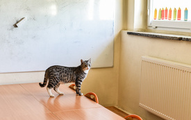 Galeria aktualności Żyję nie tylko dla siebie - wyjątkowy projekt edukacyjny w naszej szkole!   14