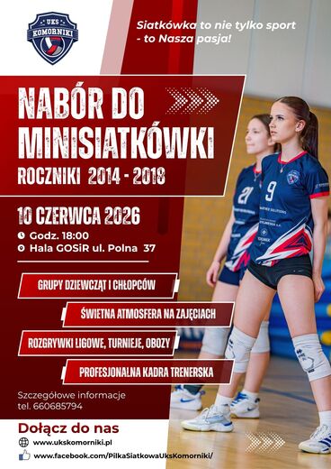 plakat siatk&oacute;wka